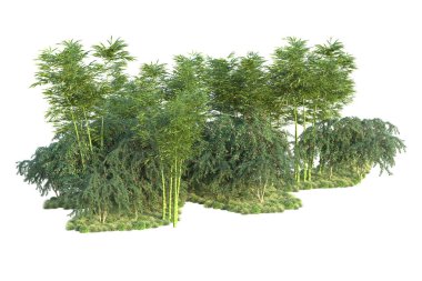 Orman ıssız. Görüntü pankartlar, posterler ya da fotoğraf manipülasyonları için kullanışlı. 3d görüntüleme - illüstrasyon