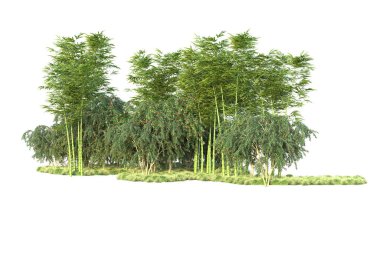 Orman ıssız. Görüntü pankartlar, posterler ya da fotoğraf manipülasyonları için kullanışlı. 3d görüntüleme - illüstrasyon