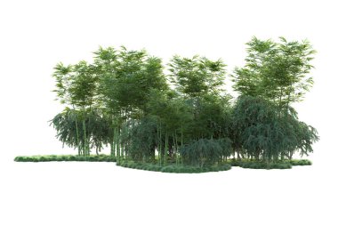 Orman ıssız. Görüntü pankartlar, posterler ya da fotoğraf manipülasyonları için kullanışlı. 3d görüntüleme - illüstrasyon