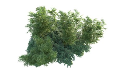 Orman ıssız. Görüntü pankartlar, posterler ya da fotoğraf manipülasyonları için kullanışlı. 3d görüntüleme - illüstrasyon