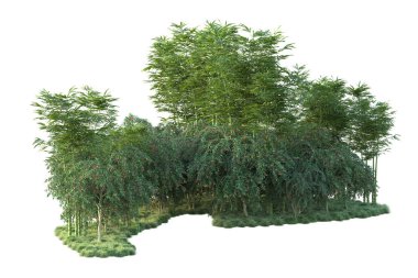 Orman ıssız. Görüntü pankartlar, posterler ya da fotoğraf manipülasyonları için kullanışlı. 3d görüntüleme - illüstrasyon