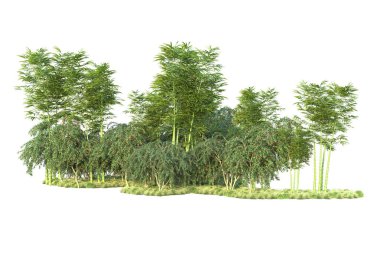 Orman ıssız. Görüntü pankartlar, posterler ya da fotoğraf manipülasyonları için kullanışlı. 3d görüntüleme - illüstrasyon