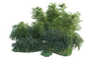 Orman ıssız. Görüntü pankartlar, posterler ya da fotoğraf manipülasyonları için kullanışlı. 3d görüntüleme - illüstrasyon