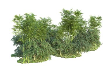 Orman ıssız. Görüntü pankartlar, posterler ya da fotoğraf manipülasyonları için kullanışlı. 3d görüntüleme - illüstrasyon