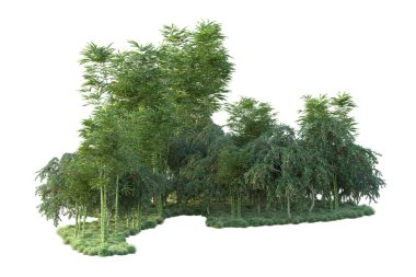 Orman ıssız. Görüntü pankartlar, posterler ya da fotoğraf manipülasyonları için kullanışlı. 3d görüntüleme - illüstrasyon