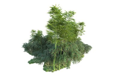 Orman ıssız. Görüntü pankartlar, posterler ya da fotoğraf manipülasyonları için kullanışlı. 3d görüntüleme - illüstrasyon