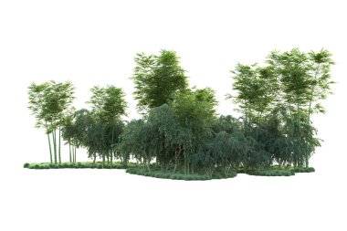 Orman ıssız. Görüntü pankartlar, posterler ya da fotoğraf manipülasyonları için kullanışlı. 3d görüntüleme - illüstrasyon