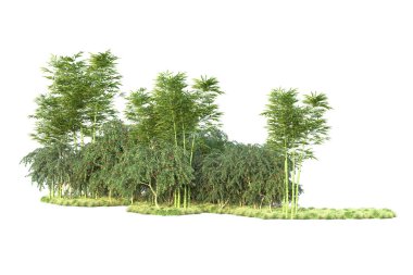 Orman ıssız. Görüntü pankartlar, posterler ya da fotoğraf manipülasyonları için kullanışlı. 3d görüntüleme - illüstrasyon