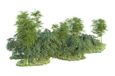 Orman ıssız. Görüntü pankartlar, posterler ya da fotoğraf manipülasyonları için kullanışlı. 3d görüntüleme - illüstrasyon