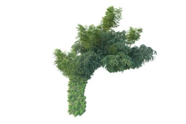 Orman ıssız. Görüntü pankartlar, posterler ya da fotoğraf manipülasyonları için kullanışlı. 3d görüntüleme - illüstrasyon