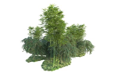 Orman ıssız. Görüntü pankartlar, posterler ya da fotoğraf manipülasyonları için kullanışlı. 3d görüntüleme - illüstrasyon