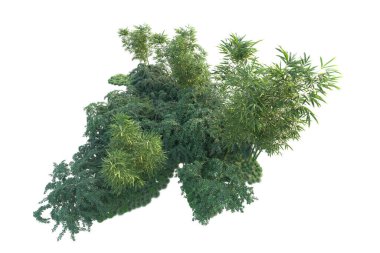 Orman ıssız. Görüntü pankartlar, posterler ya da fotoğraf manipülasyonları için kullanışlı. 3d görüntüleme - illüstrasyon