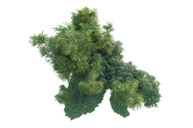 Orman ıssız. Görüntü pankartlar, posterler ya da fotoğraf manipülasyonları için kullanışlı. 3d görüntüleme - illüstrasyon