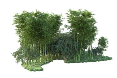 Orman ıssız. Görüntü pankartlar, posterler ya da fotoğraf manipülasyonları için kullanışlı. 3d görüntüleme - illüstrasyon