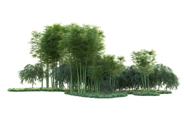 Orman ıssız. Görüntü pankartlar, posterler ya da fotoğraf manipülasyonları için kullanışlı. 3d görüntüleme - illüstrasyon