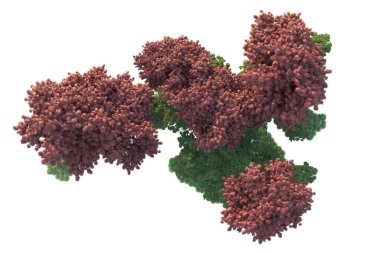 Orman ıssız. Görüntü pankartlar, posterler ya da fotoğraf manipülasyonları için kullanışlı. 3d görüntüleme - illüstrasyon