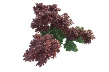 Orman ıssız. Görüntü pankartlar, posterler ya da fotoğraf manipülasyonları için kullanışlı. 3d görüntüleme - illüstrasyon