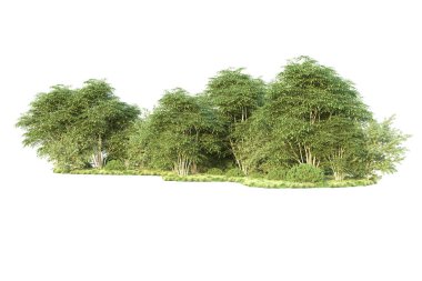 Orman ıssız. Görüntü pankartlar, posterler ya da fotoğraf manipülasyonları için kullanışlı. 3d görüntüleme - illüstrasyon