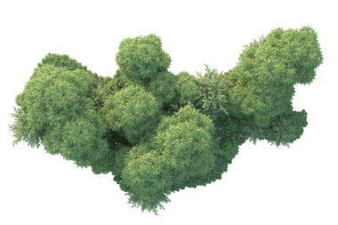 Orman ıssız. Görüntü pankartlar, posterler ya da fotoğraf manipülasyonları için kullanışlı. 3d görüntüleme - illüstrasyon