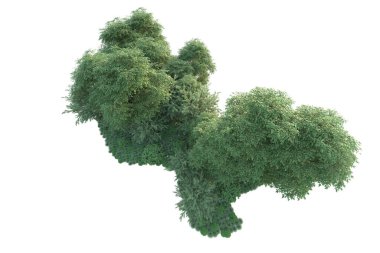 Orman ıssız. Görüntü pankartlar, posterler ya da fotoğraf manipülasyonları için kullanışlı. 3d görüntüleme - illüstrasyon