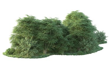 Orman ıssız. Görüntü pankartlar, posterler ya da fotoğraf manipülasyonları için kullanışlı. 3d görüntüleme - illüstrasyon