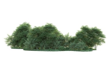 Orman ıssız. Görüntü pankartlar, posterler ya da fotoğraf manipülasyonları için kullanışlı. 3d görüntüleme - illüstrasyon