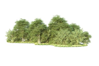 Orman ıssız. Görüntü pankartlar, posterler ya da fotoğraf manipülasyonları için kullanışlı. 3d görüntüleme - illüstrasyon