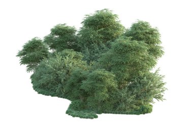 Orman ıssız. Görüntü pankartlar, posterler ya da fotoğraf manipülasyonları için kullanışlı. 3d görüntüleme - illüstrasyon