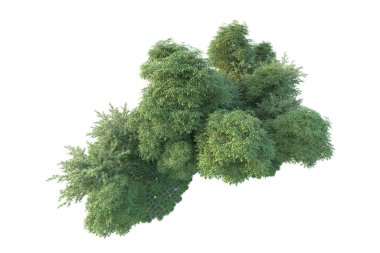 Orman ıssız. Görüntü pankartlar, posterler ya da fotoğraf manipülasyonları için kullanışlı. 3d görüntüleme - illüstrasyon