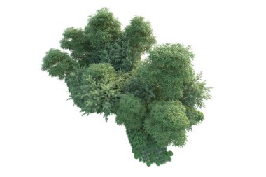 Orman ıssız. Görüntü pankartlar, posterler ya da fotoğraf manipülasyonları için kullanışlı. 3d görüntüleme - illüstrasyon