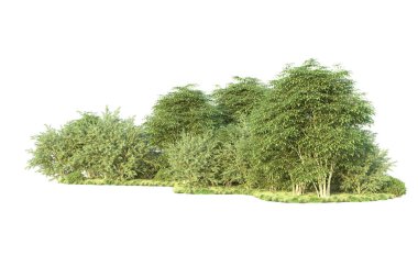 Orman ıssız. Görüntü pankartlar, posterler ya da fotoğraf manipülasyonları için kullanışlı. 3d görüntüleme - illüstrasyon