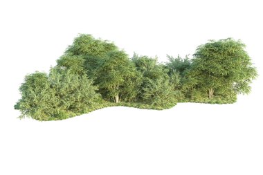 Orman ıssız. Görüntü pankartlar, posterler ya da fotoğraf manipülasyonları için kullanışlı. 3d görüntüleme - illüstrasyon