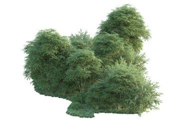 Orman ıssız. Görüntü pankartlar, posterler ya da fotoğraf manipülasyonları için kullanışlı. 3d görüntüleme - illüstrasyon