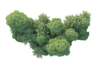 Orman ıssız. Görüntü pankartlar, posterler ya da fotoğraf manipülasyonları için kullanışlı. 3d görüntüleme - illüstrasyon