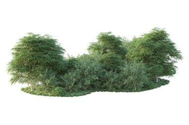 Orman ıssız. Görüntü pankartlar, posterler ya da fotoğraf manipülasyonları için kullanışlı. 3d görüntüleme - illüstrasyon