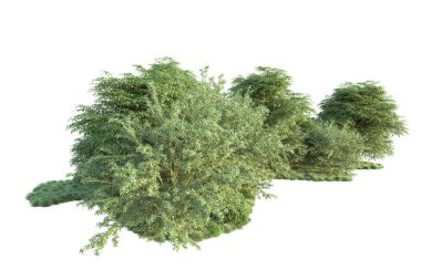 Orman ıssız. Görüntü pankartlar, posterler ya da fotoğraf manipülasyonları için kullanışlı. 3d görüntüleme - illüstrasyon