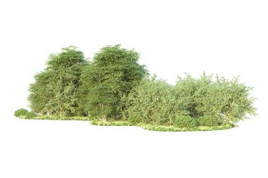 Orman ıssız. Görüntü pankartlar, posterler ya da fotoğraf manipülasyonları için kullanışlı. 3d görüntüleme - illüstrasyon