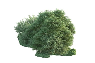 Orman ıssız. Görüntü pankartlar, posterler ya da fotoğraf manipülasyonları için kullanışlı. 3d görüntüleme - illüstrasyon