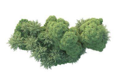 Orman ıssız. Görüntü pankartlar, posterler ya da fotoğraf manipülasyonları için kullanışlı. 3d görüntüleme - illüstrasyon