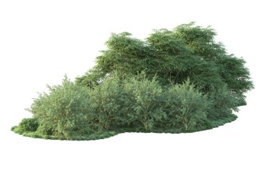 Orman ıssız. Görüntü pankartlar, posterler ya da fotoğraf manipülasyonları için kullanışlı. 3d görüntüleme - illüstrasyon