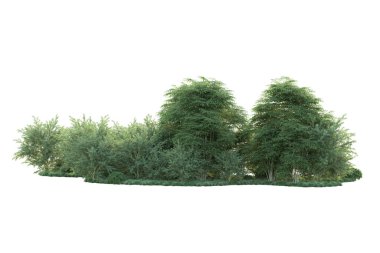 Orman ıssız. Görüntü pankartlar, posterler ya da fotoğraf manipülasyonları için kullanışlı. 3d görüntüleme - illüstrasyon