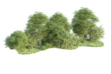 Orman ıssız. Görüntü pankartlar, posterler ya da fotoğraf manipülasyonları için kullanışlı. 3d görüntüleme - illüstrasyon