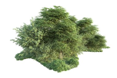 Orman ıssız. Görüntü pankartlar, posterler ya da fotoğraf manipülasyonları için kullanışlı. 3d görüntüleme - illüstrasyon