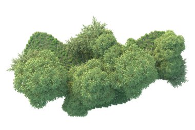 Orman ıssız. Görüntü pankartlar, posterler ya da fotoğraf manipülasyonları için kullanışlı. 3d görüntüleme - illüstrasyon