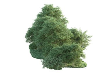 Orman ıssız. Görüntü pankartlar, posterler ya da fotoğraf manipülasyonları için kullanışlı. 3d görüntüleme - illüstrasyon