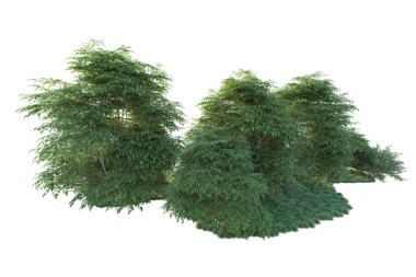 Orman ıssız. Görüntü pankartlar, posterler ya da fotoğraf manipülasyonları için kullanışlı. 3d görüntüleme - illüstrasyon