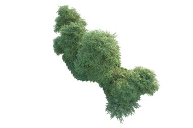 Orman ıssız. Görüntü pankartlar, posterler ya da fotoğraf manipülasyonları için kullanışlı. 3d görüntüleme - illüstrasyon