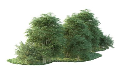 Orman ıssız. Görüntü pankartlar, posterler ya da fotoğraf manipülasyonları için kullanışlı. 3d görüntüleme - illüstrasyon