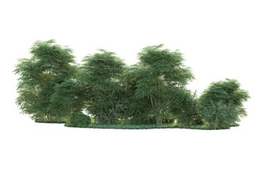 Orman ıssız. Görüntü pankartlar, posterler ya da fotoğraf manipülasyonları için kullanışlı. 3d görüntüleme - illüstrasyon