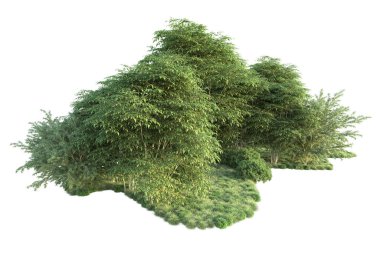 Orman ıssız. Görüntü pankartlar, posterler ya da fotoğraf manipülasyonları için kullanışlı. 3d görüntüleme - illüstrasyon